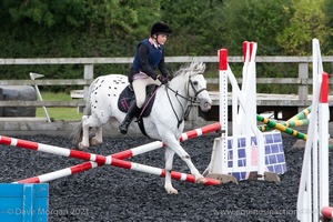 Class 2 -  Fences not above 2'